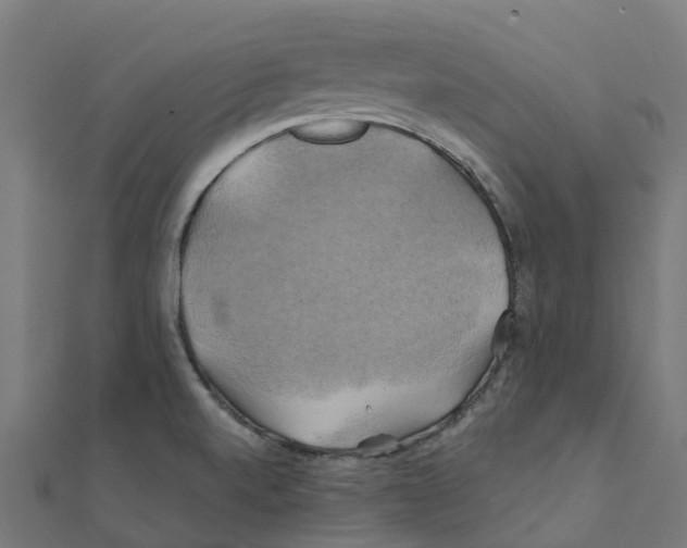 X0000111241520200907301256