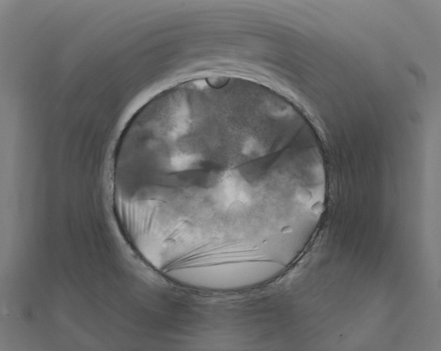 X0000111241522200907301256