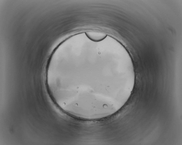 X0000111241523200907301256