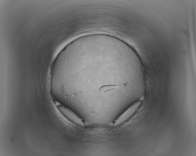 X0000111241524200907301256