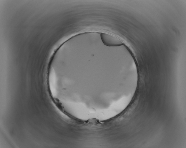 X0000111241525200907301256