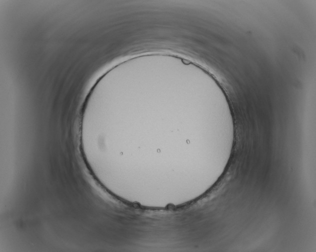 X0000111241526200907301256