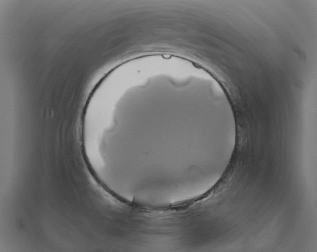 X0000111241527200907301256