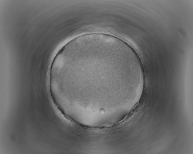 X0000111241528200907301256