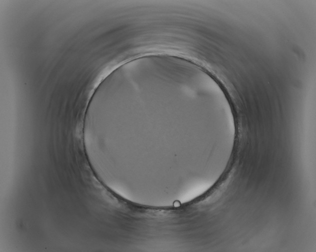 X0000111241529200907301256