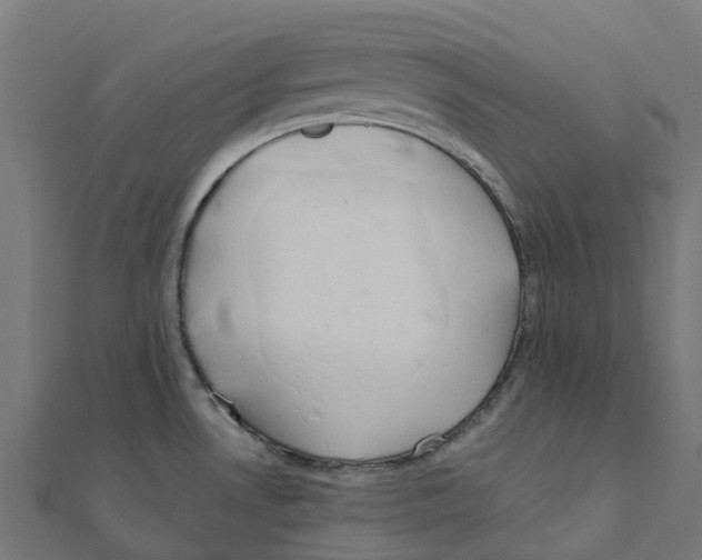 X0000111241530200907301256