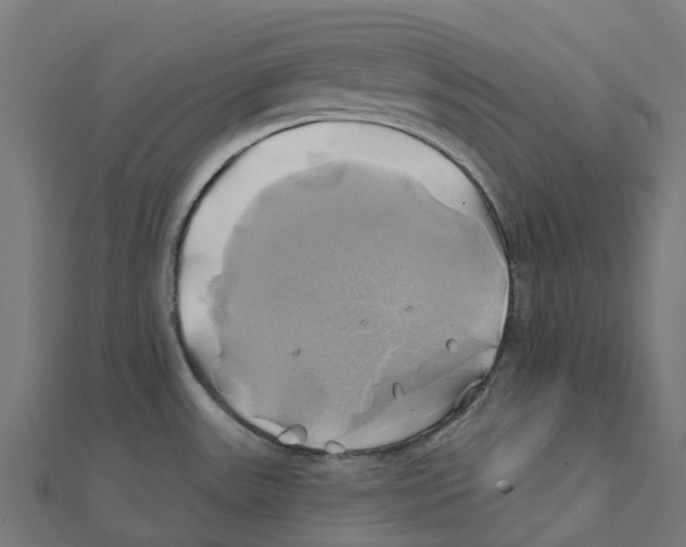 X0000111241531200907301256