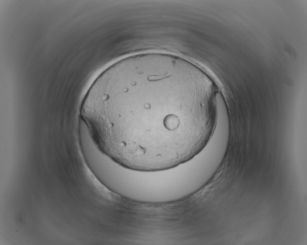 X0000111241532200907301256