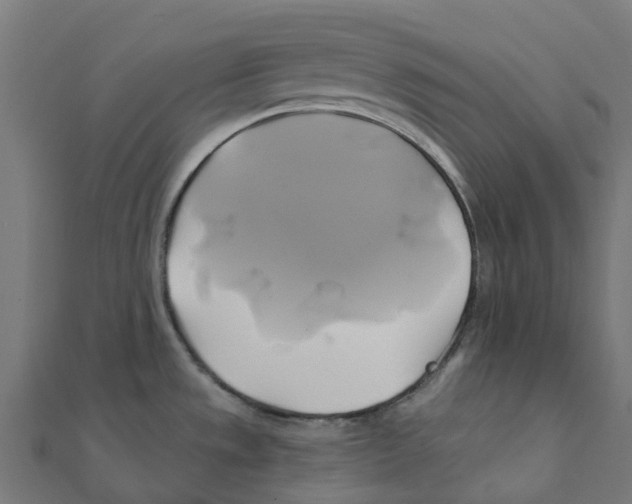 X0000111241533200907301256