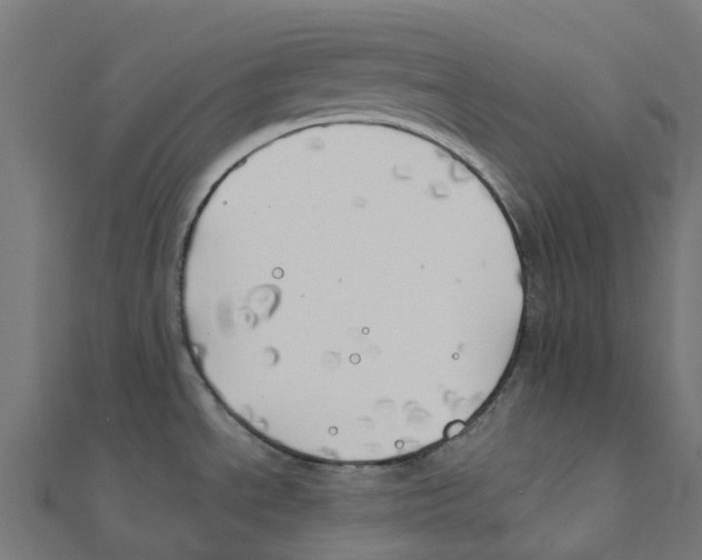 X0000111241534200907301256