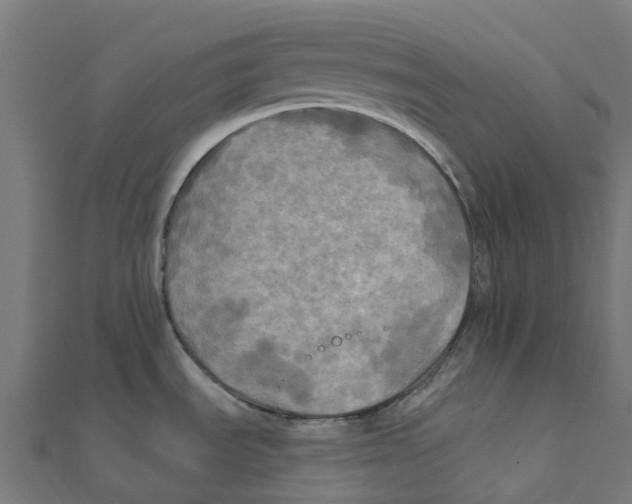 X0000111241535200907301256