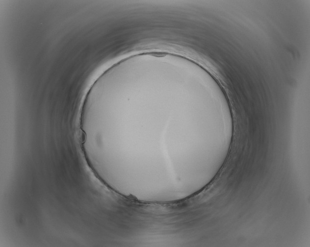 X0000111241536200907301256