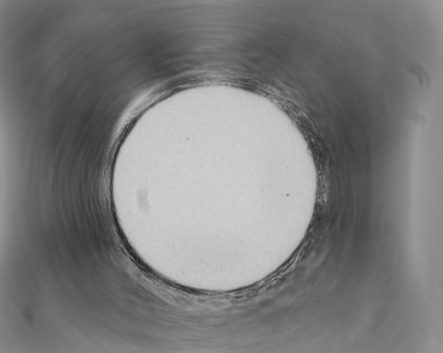 X0000111240004200908131155