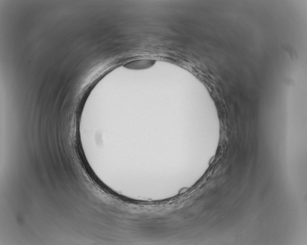 X0000111240005200908131155