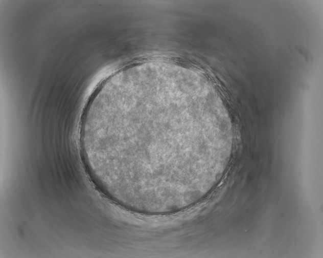 X0000111240006200908131155