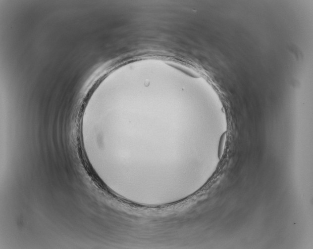 X0000111240007200908131155