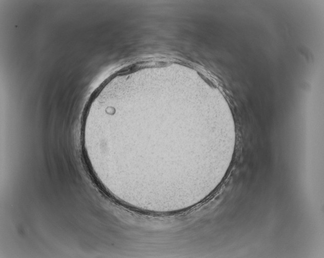 X0000111240008200908131155