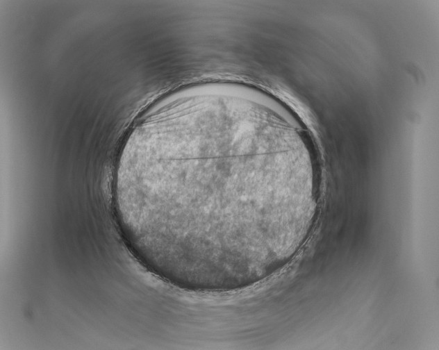X0000111240009200908131155