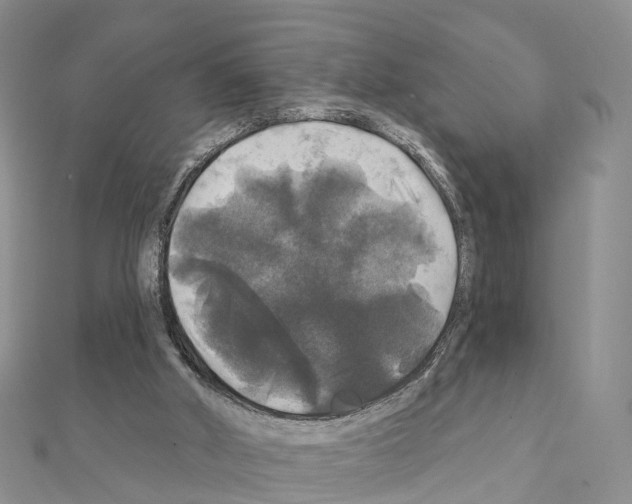 X0000111240010200908131155