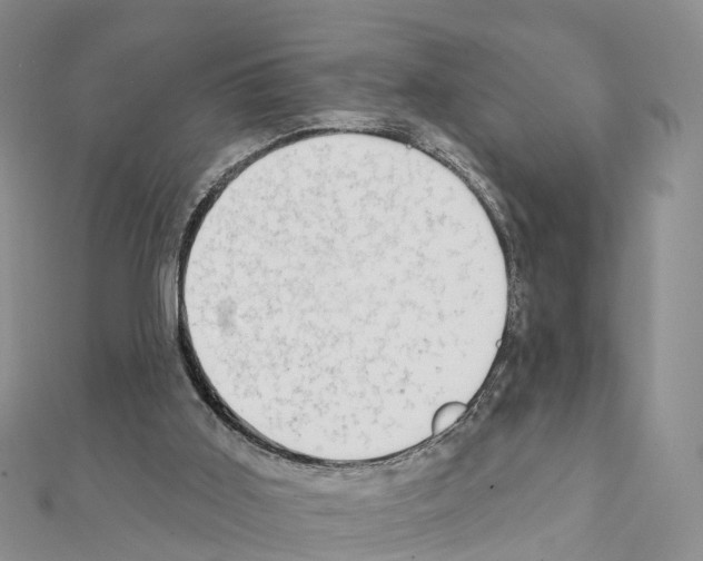 X0000111240011200908131155