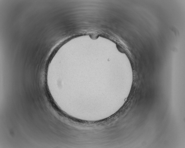 X0000111240012200908131155