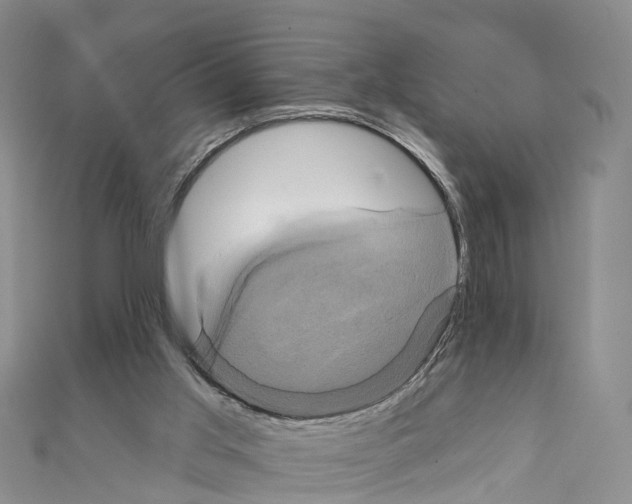 X0000111240013200908131155