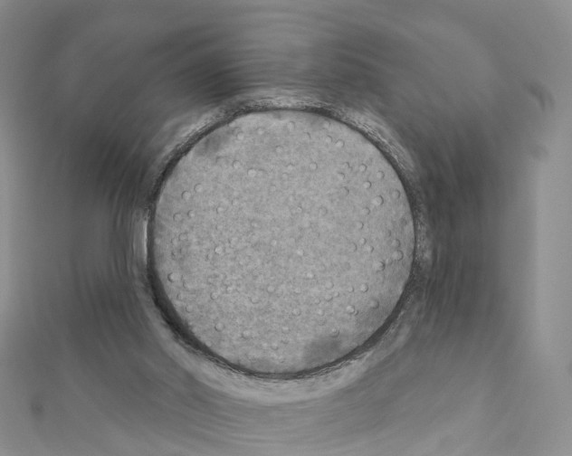 X0000111240014200908131155