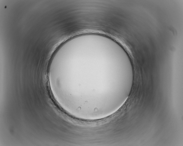 X0000111240015200908131155