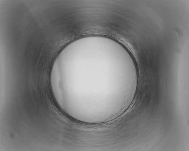 X0000111240017200908131155