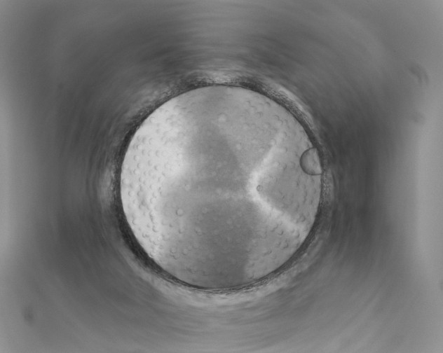 X0000111240018200908131155