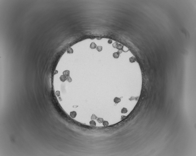 X0000111240020200908131155