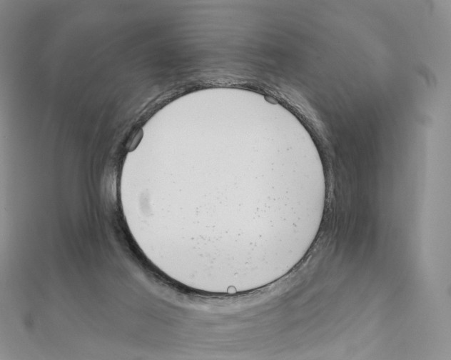 X0000111240021200908131155