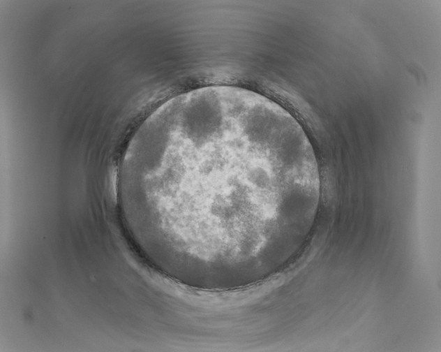 X0000111240022200908131155