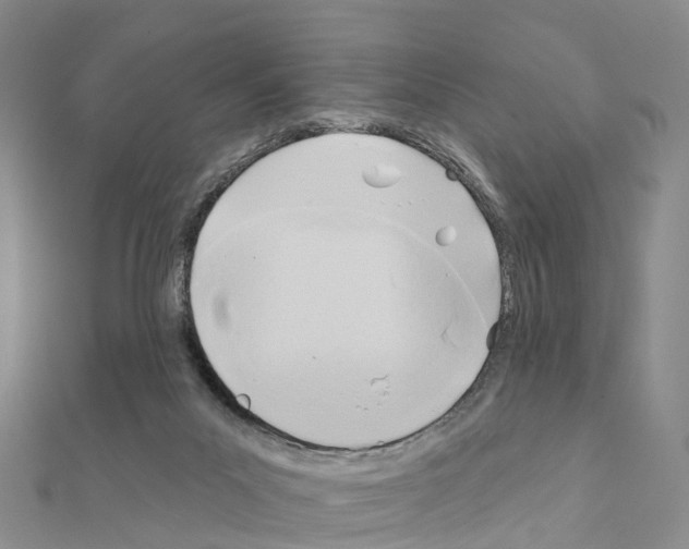 X0000111240023200908131155