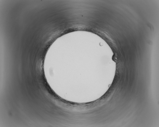 X0000111240024200908131155