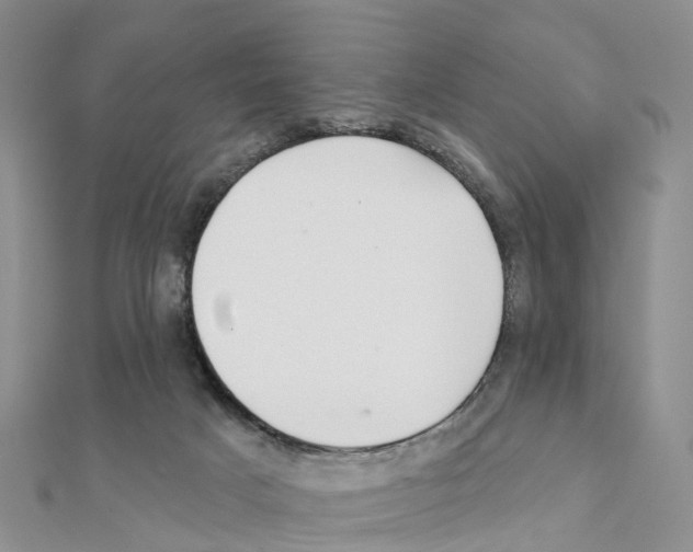 X0000111240025200908131155