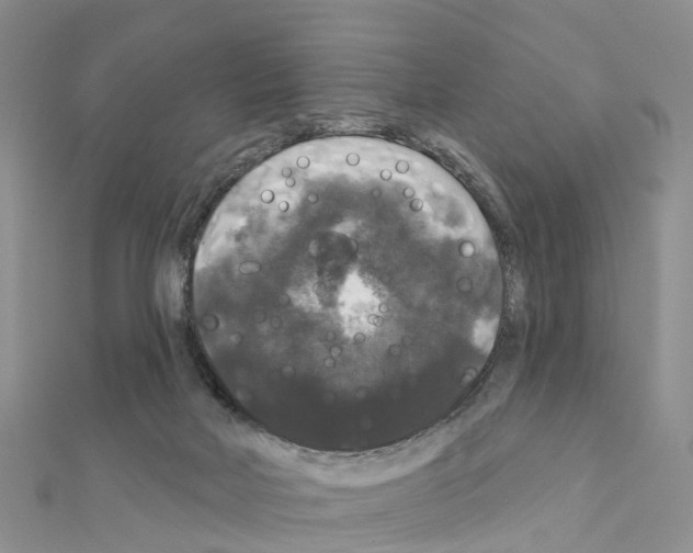 X0000111240026200908131155