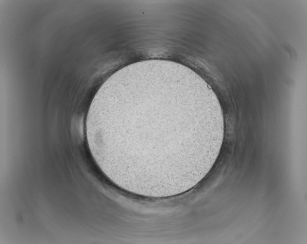 X0000111240028200908131155