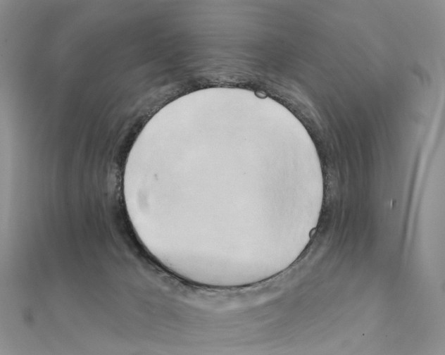 X0000111240029200908131155