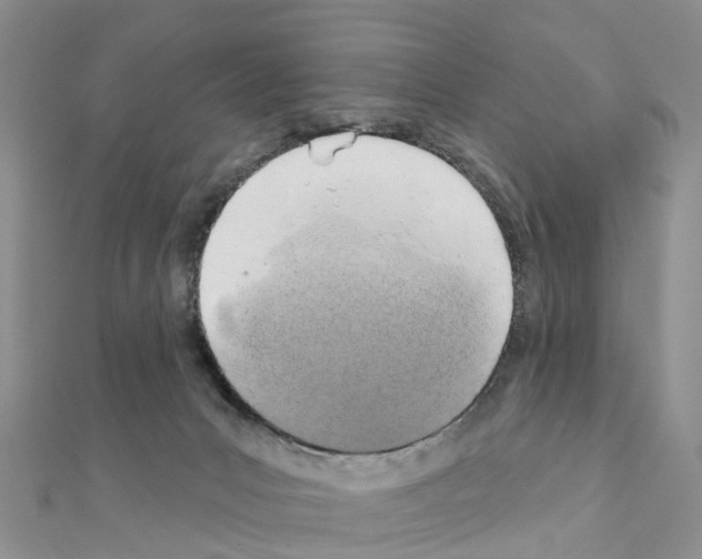 X0000111240031200908131155