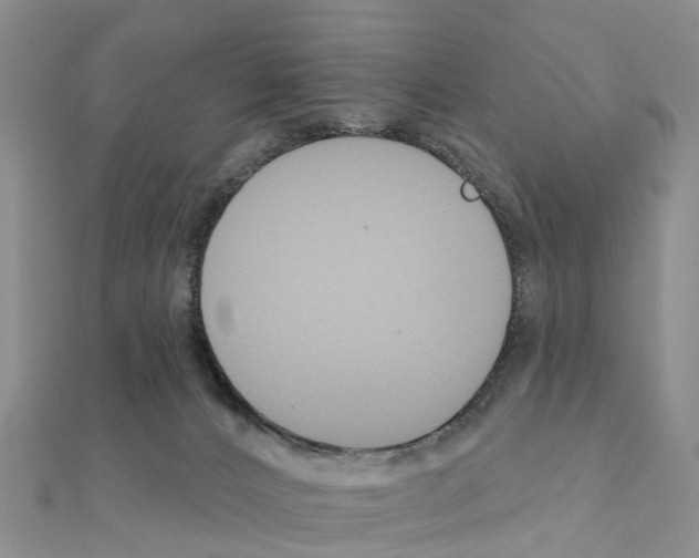 X0000111240032200908131155