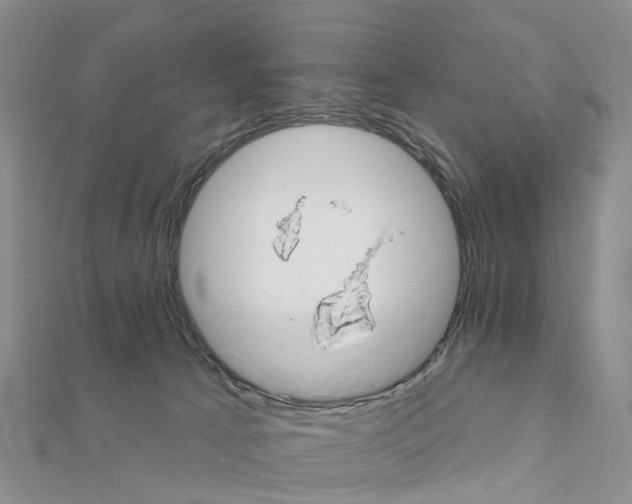 X0000111240033200908131155