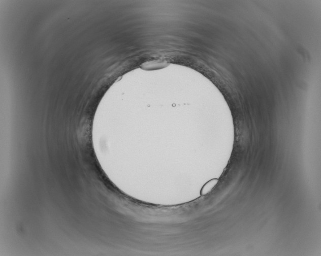 X0000111240036200908131155