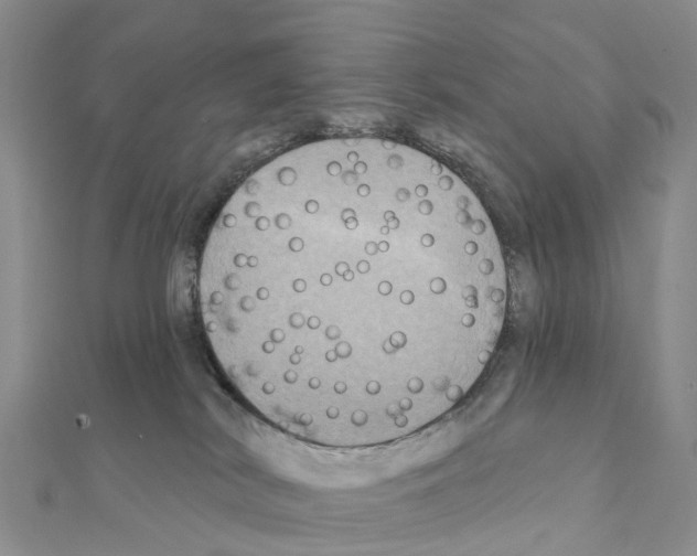 X0000111240038200908131155