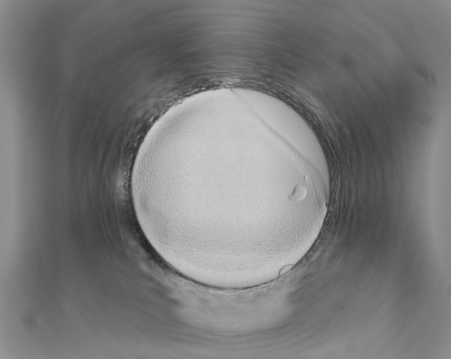 X0000111240039200908131155
