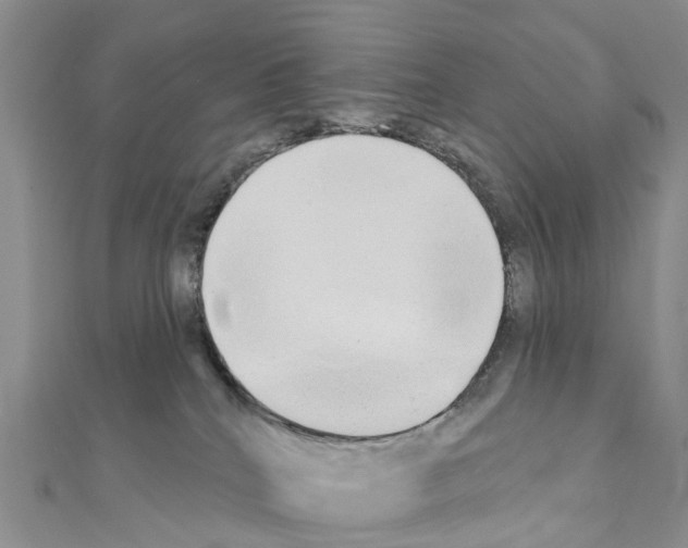 X0000111240040200908131155