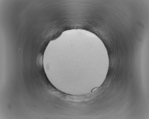 X0000111240041200908131155