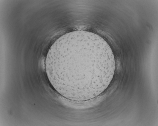 X0000111240042200908131155