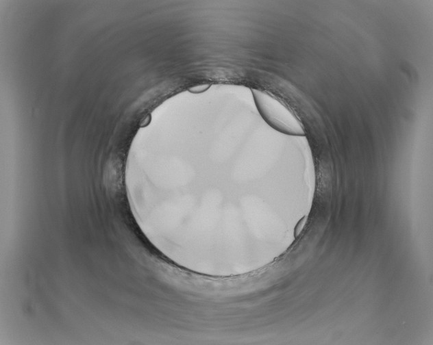 X0000111240043200908131155