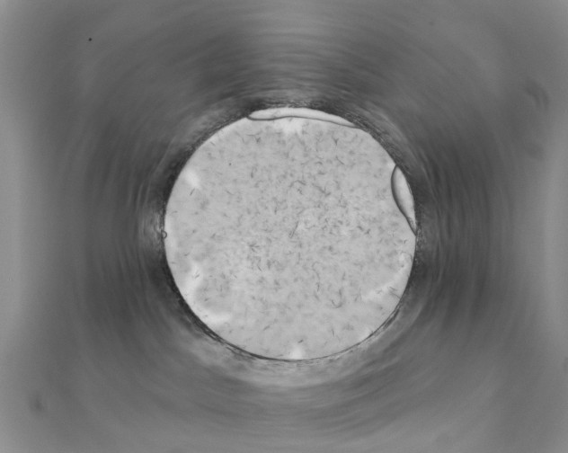 X0000111240045200908131155